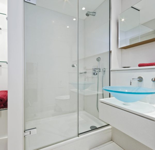 Shower Screens Next to Sink